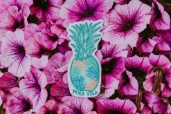 Flash Sale π Pura Vida Bracelets Palm Pineapple Patch Best Sellers π₯ 9 Pura Vida Bracelets Palm Pineapple Patch Best Sellers