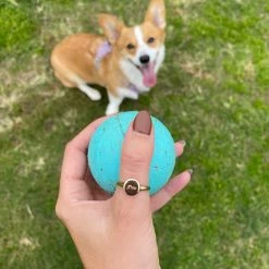 Buy 🎁 Pura Vida Bracelets Engravable Signet Ring Trending On TikTok ⭐ 23 Pura Vida Bracelets Engravable Signet Ring Trending On TikTok