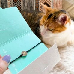 Pura Vida Bracelets Engravable Coin Bracelet Trending On TikTok