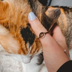 Buy 🎁 Pura Vida Bracelets Engravable Signet Ring Trending On TikTok ⭐ 20 Pura Vida Bracelets Engravable Signet Ring Trending On TikTok