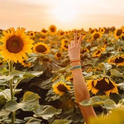 Pura Vida Bracelets Dreaming Outloud Pack