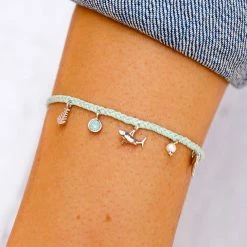 Top 10 π Discovery Best Sellers Shark Multi Charm π₯° 8 Discovery Best Sellers Shark Multi Charm
