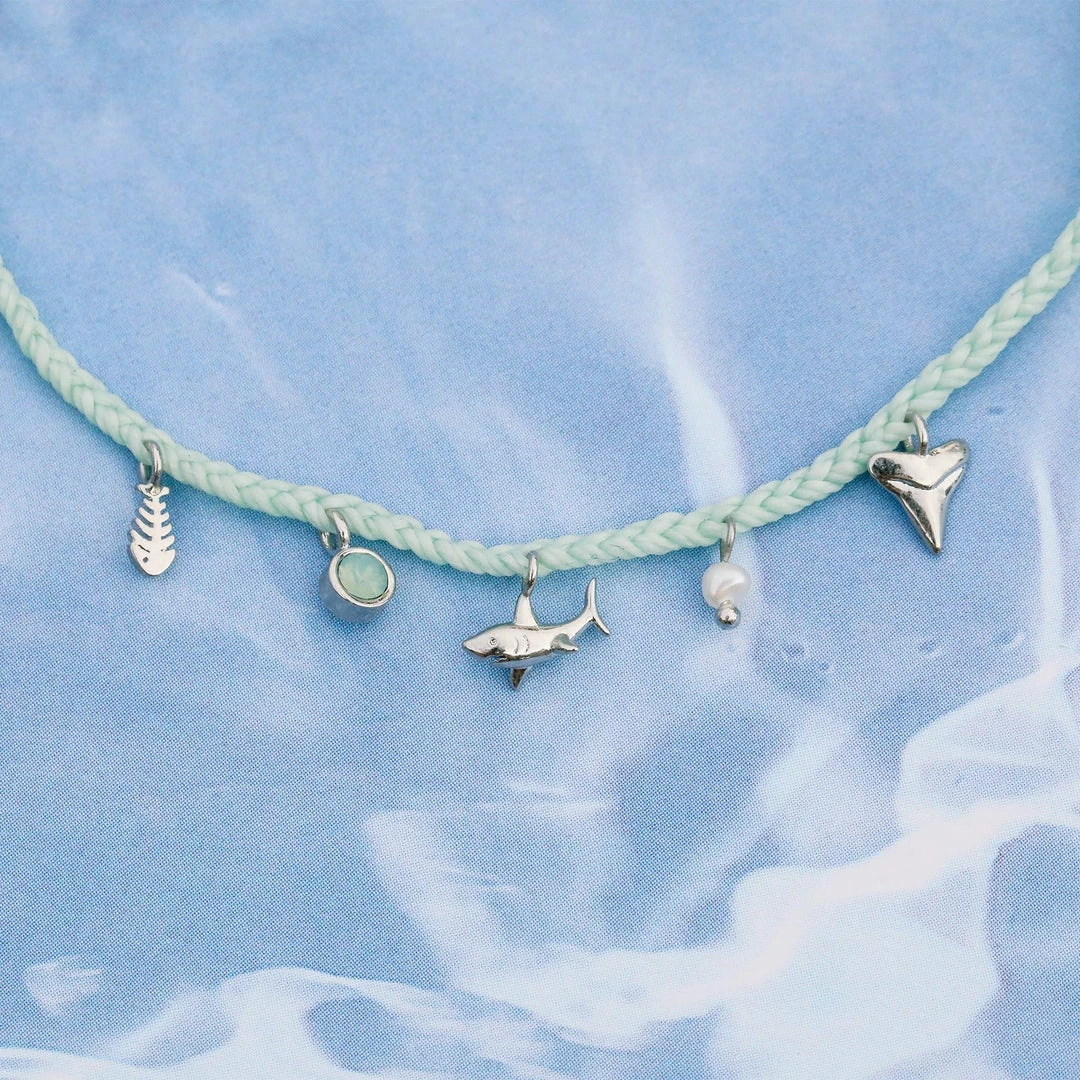 Top 10 π Discovery Best Sellers Shark Multi Charm π₯° 6 Discovery Best Sellers Shark Multi Charm